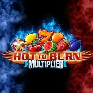 Hot To Burn Multiplier screenshot
